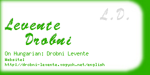 levente drobni business card